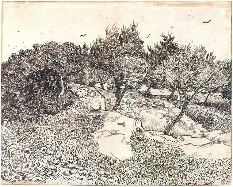 Olive Trees (1888) Vincent van Gogh tablo - Dekolata