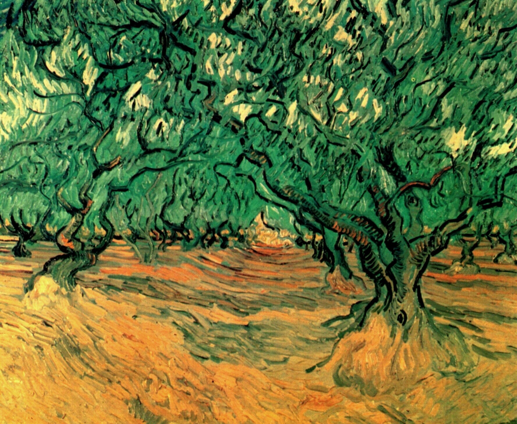 Olive Trees (1889) Vincent van Gogh tablo - Dekolata