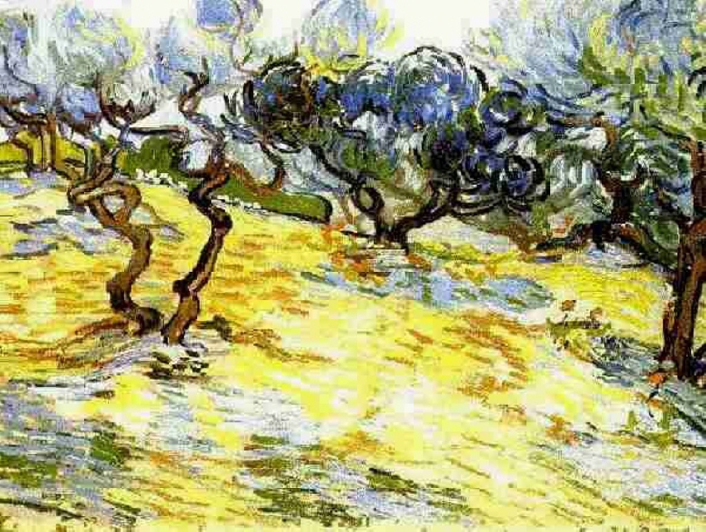 Olive Trees Bright Blue Sky (1889) Vincent van Gogh tablo - Dekolata