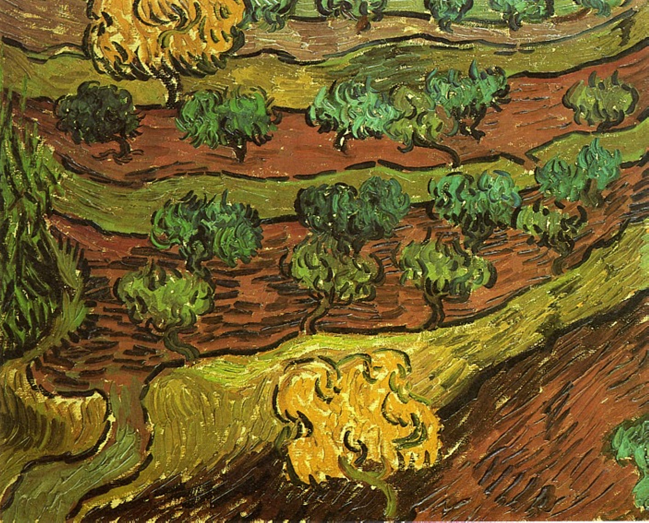Olive Trees against a Slope of a Hill (1889) Vincent van Gogh tablo - Dekolata