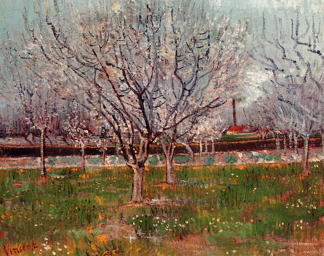Orchard in Blossom (Plum Trees) (1888) Vincent van Gogh tablo - Dekolata