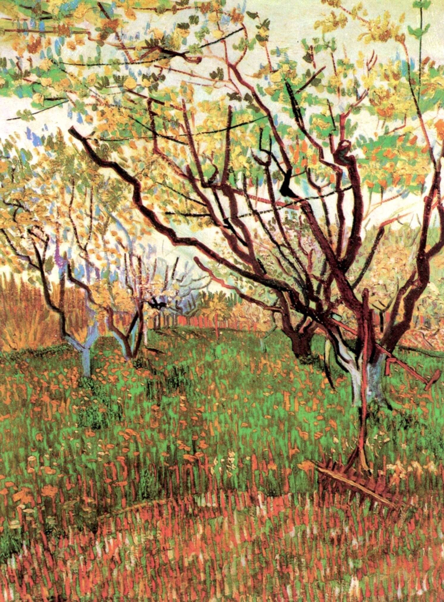 Orchard in Blossom (1888) Vincent van Gogh tablo - Dekolata