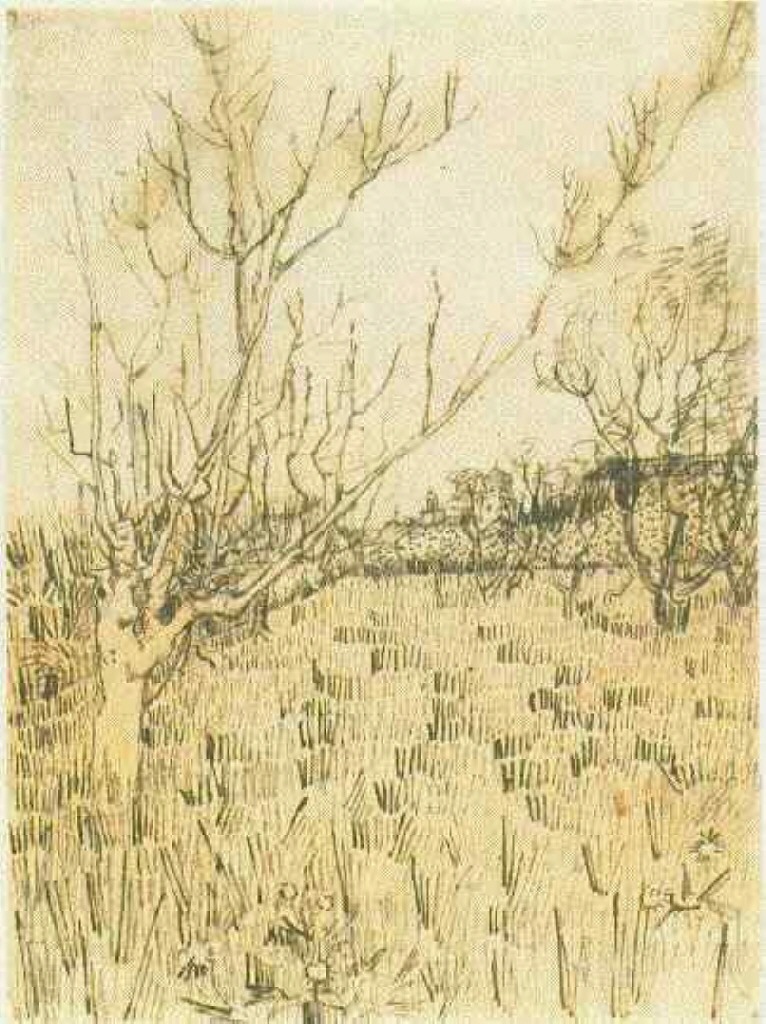 Orchard with Arles in the Background (1888) Vincent van Gogh tablo - Dekolata