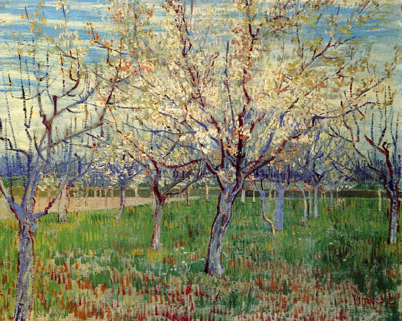 Orchard with Blossoming Apricot Trees (1888) Vincent van Gogh tablo - Dekolata