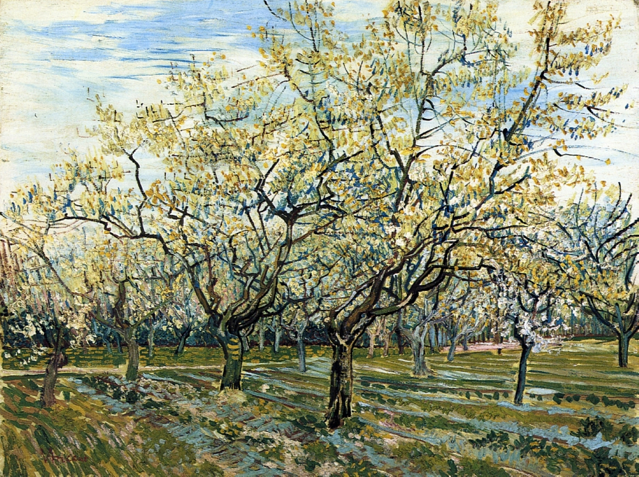 Orchard with Blossoming Plum Trees (1888) Vincent van Gogh tablo - Dekolata