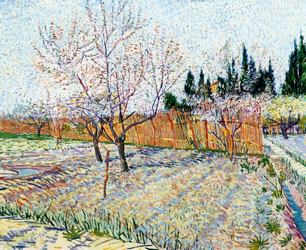 Orchard with Peach Trees in Blossom (1888) Vincent van Gogh tablo - Dekolata