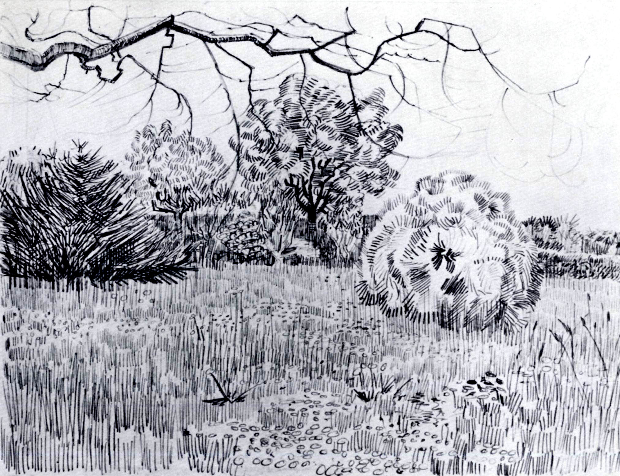 Park at Arles (1889) Vincent van Gogh tablo - Dekolata