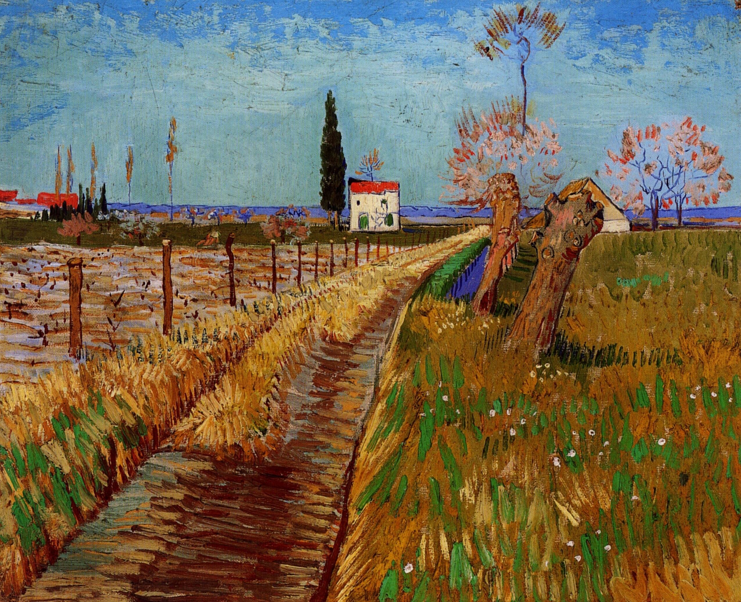 Path Through a Field with Willows (1888) Vincent van Gogh tablo - Dekolata