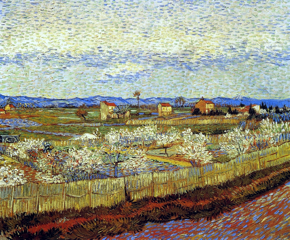 Peach Trees in Blossom (1889) Vincent van Gogh tablo - Dekolata