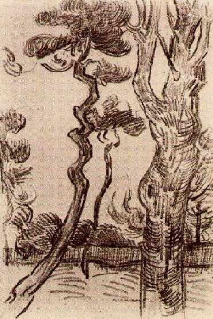 Pine Trees Seen against the Wall of the Asylum (1889) Vincent van Gogh tablo - Dekolata