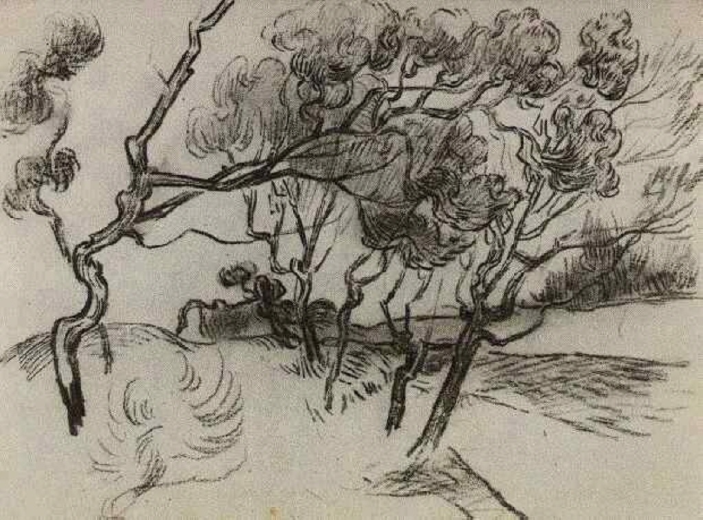 Pine Trees along a Road to a House (1889) Vincent van Gogh tablo - Dekolata