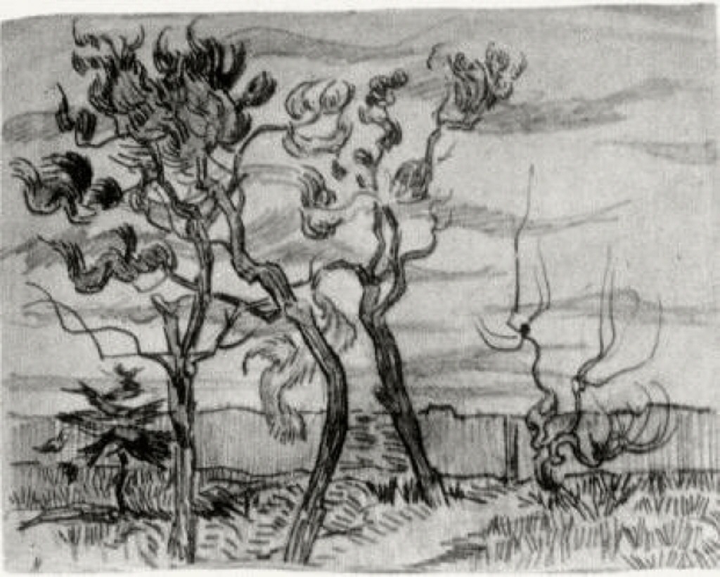 Pine Trees in Front of the Wall of the Asylum (1889) – Vincent van Gogh Tablo