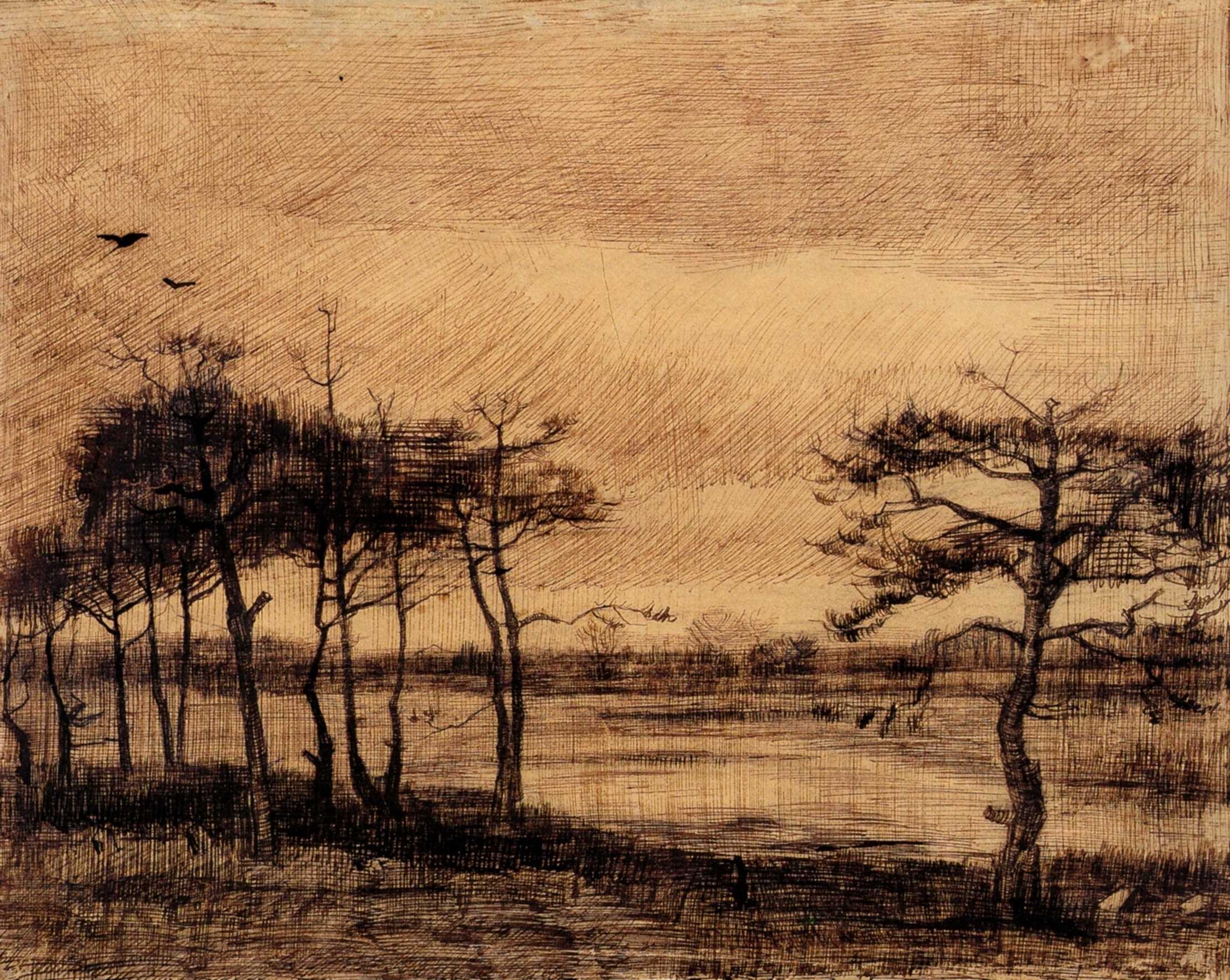 Pine Trees in the Fen (1884) Vincent van Gogh tablo - Dekolata
