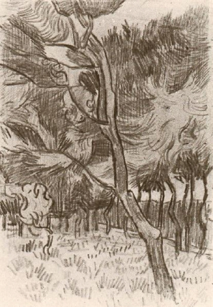 Pine Trees in the Garden of the Asylum (1889) Vincent van Gogh tablo - Dekolata
