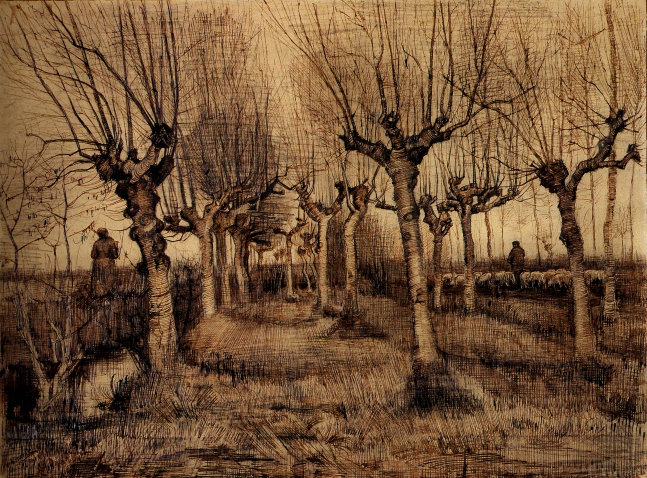 Pollard Birches (1884) Vincent van Gogh tablo - Dekolata