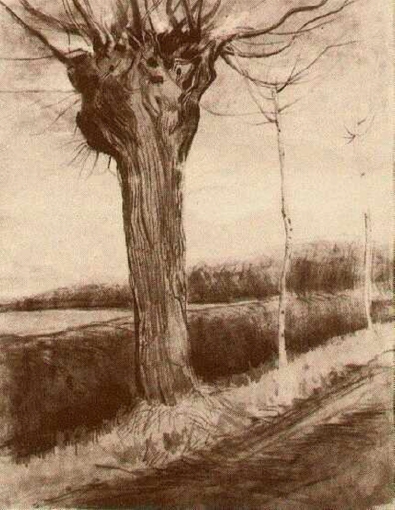 Pollard Willow (1881) Vincent van Gogh tablo - Dekolata