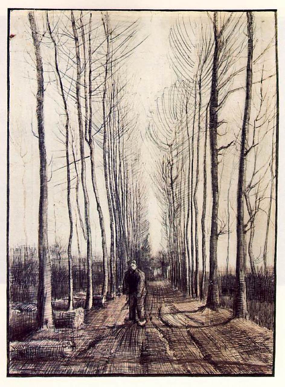 Poplar Trees (1884) Vincent van Gogh tablo - Dekolata