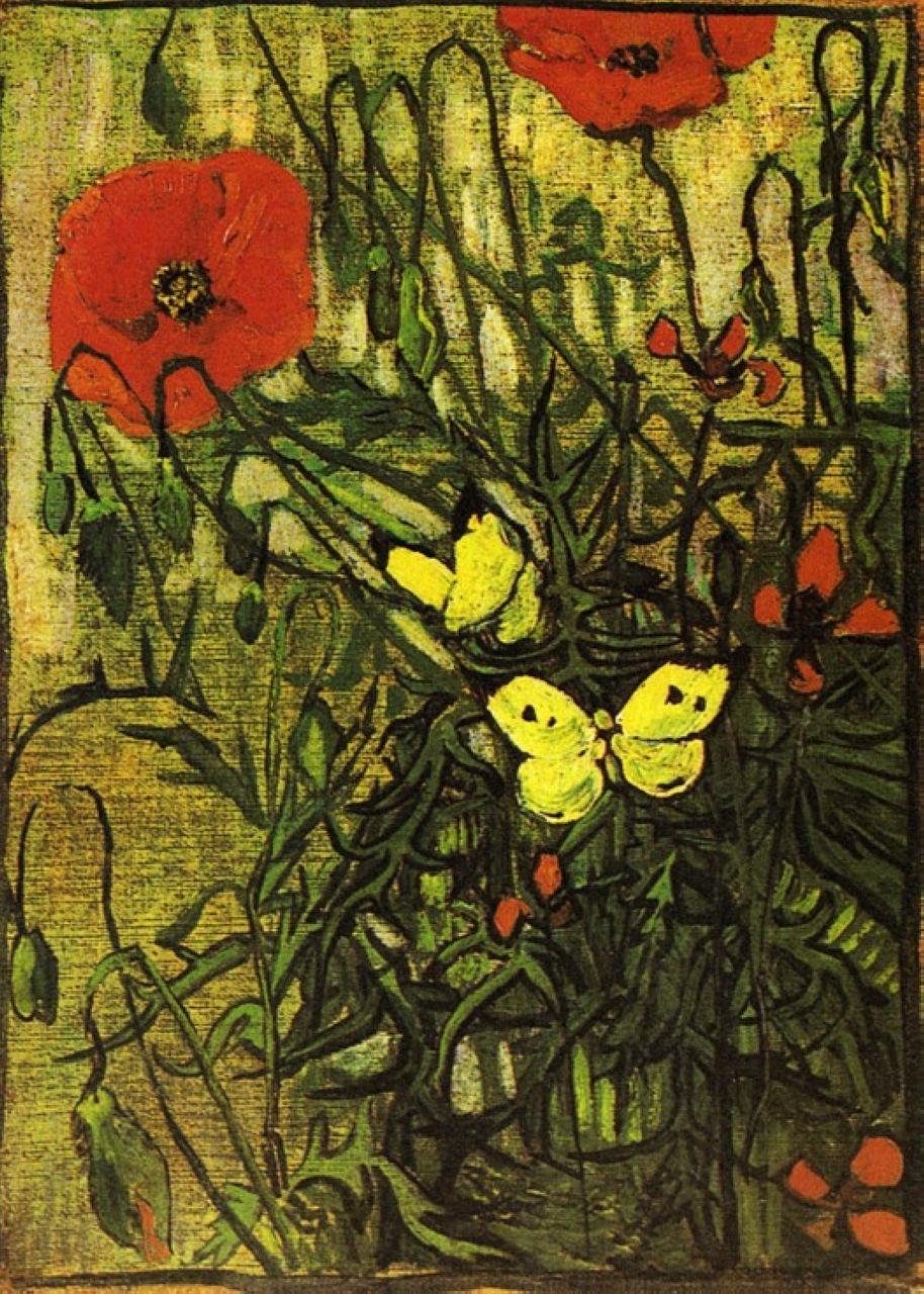 Poppies and Butterflies (1890) Vincent van Gogh tablo - Dekolata