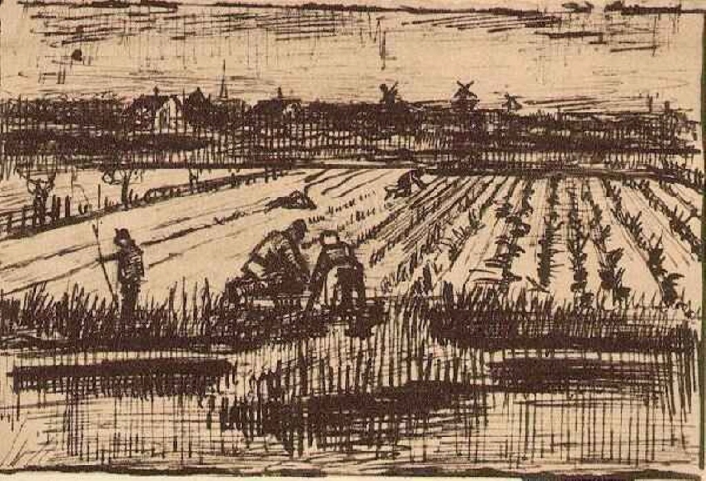 Potato Field (1882) Vincent van Gogh tablo - Dekolata