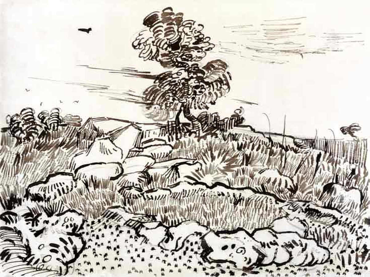 Rocky Ground at Montmajour (1889) Vincent van Gogh tablo - Dekolata
