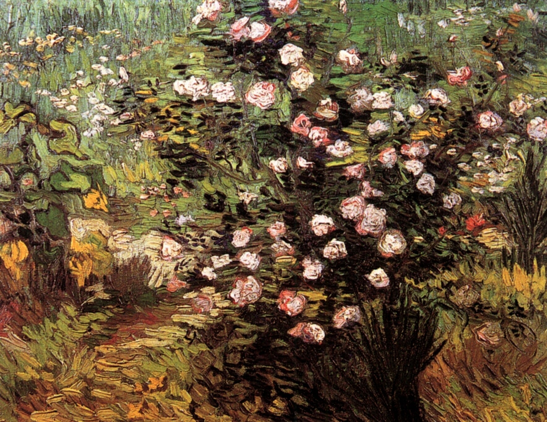Rosebush in Blossom (1889) Vincent van Gogh tablo - Dekolata