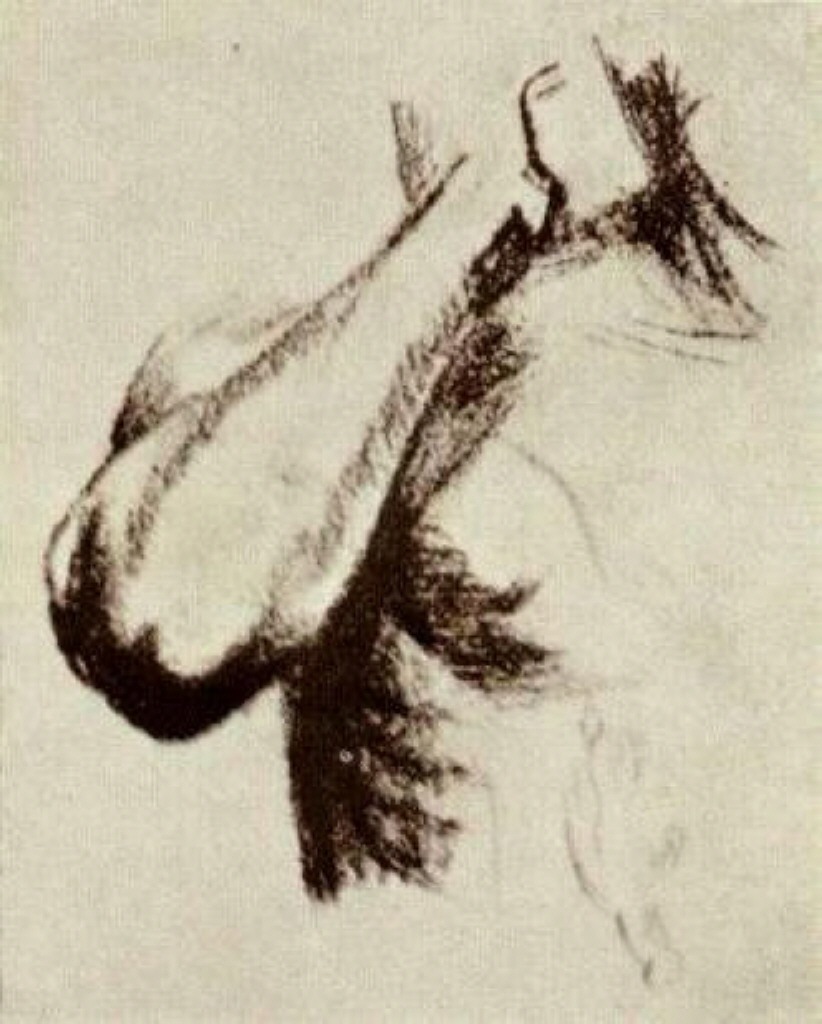 Sketch of a Right Arm and Shoulder (1886) Vincent van Gogh tablo - Dekolata