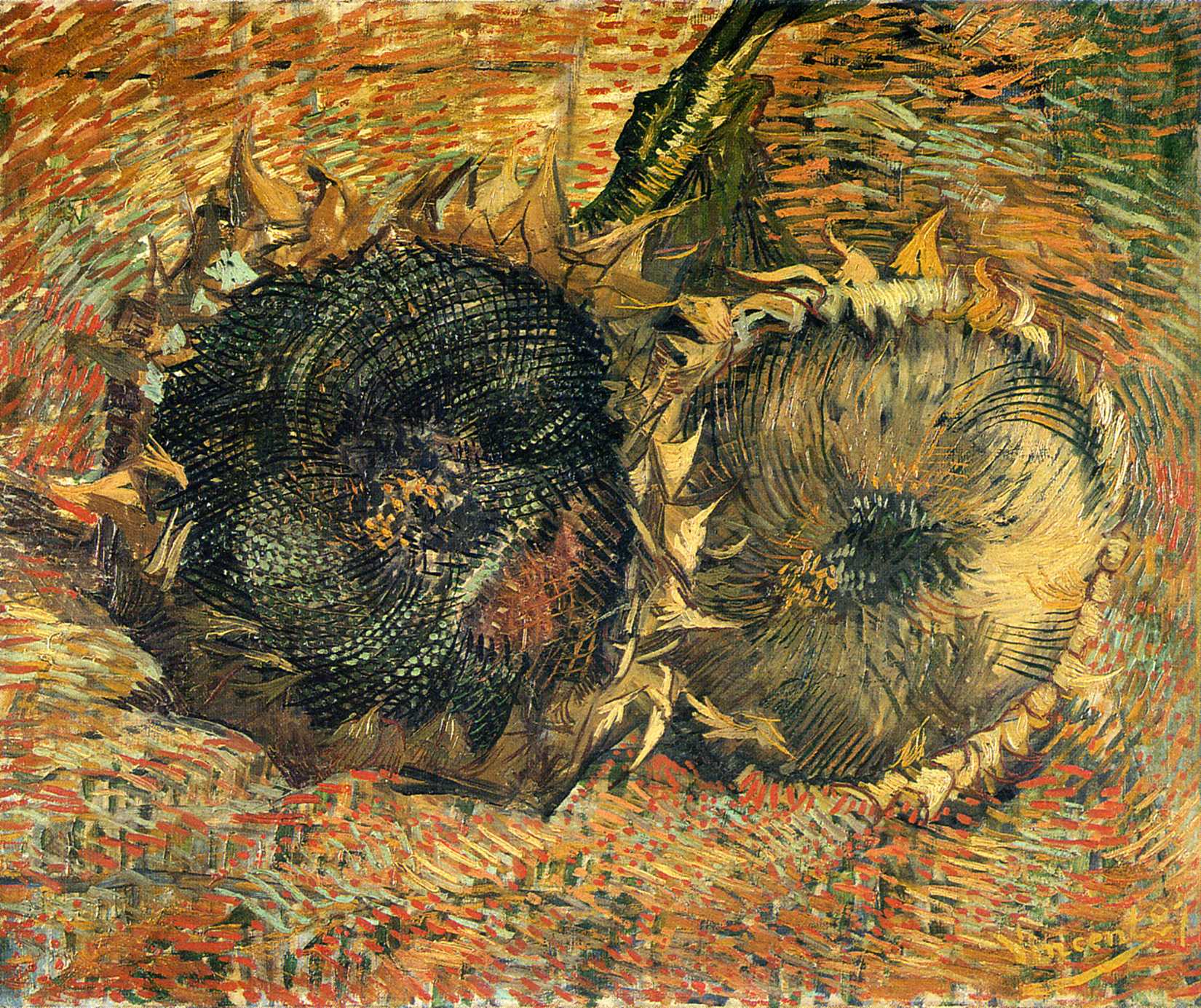Still Life with Two Sunflowers (1887) Vincent van Gogh tablo - Dekolata