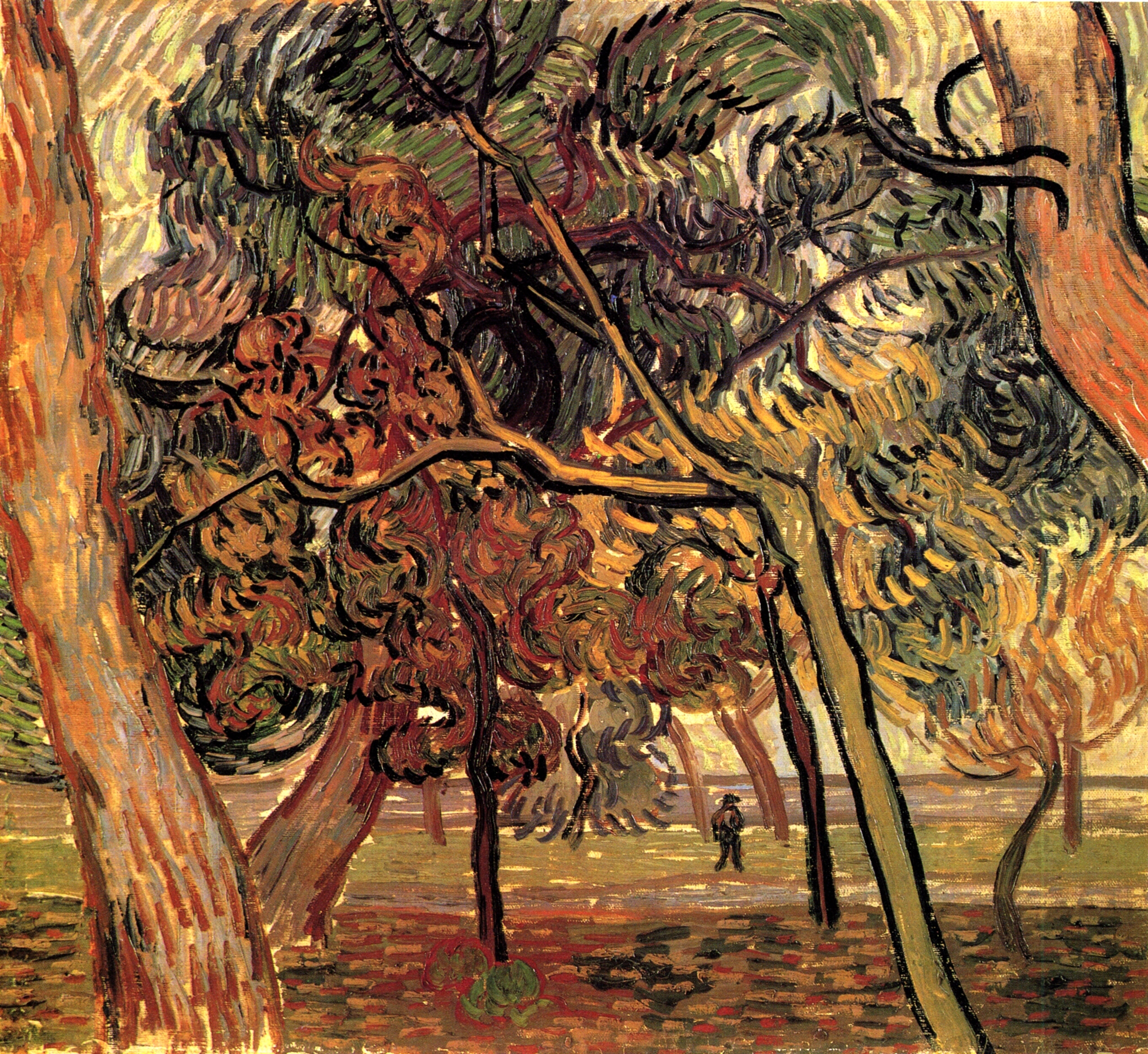 Study of Pine Trees (1889) Vincent van Gogh tablo - Dekolata