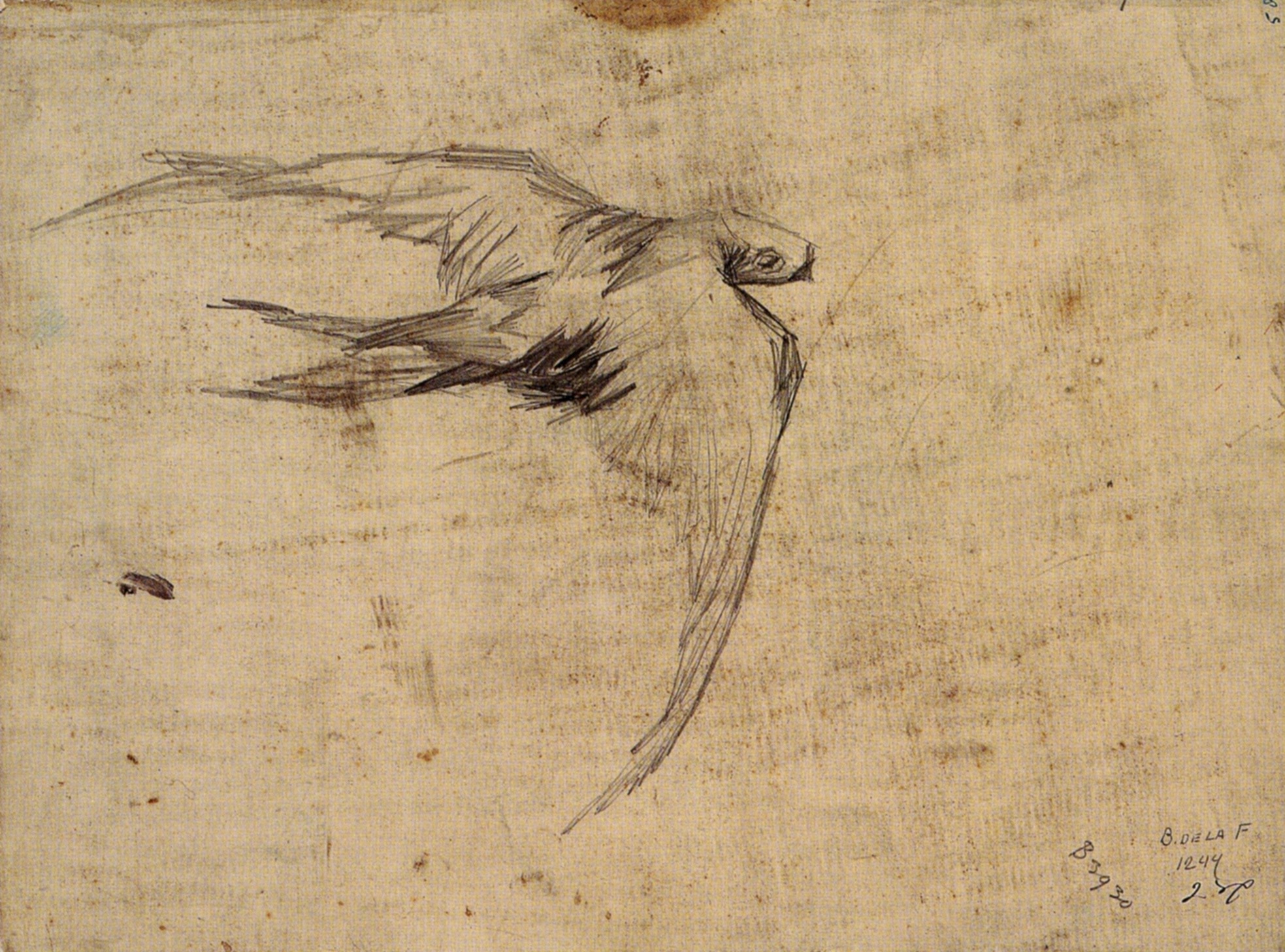 Swift (1887) Vincent van Gogh tablo - Dekolata