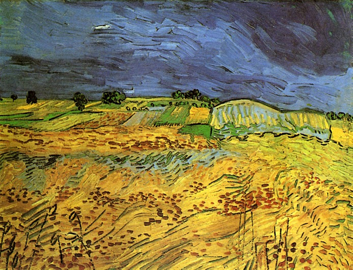 The Fields (1890) Vincent van Gogh tablo - Dekolata