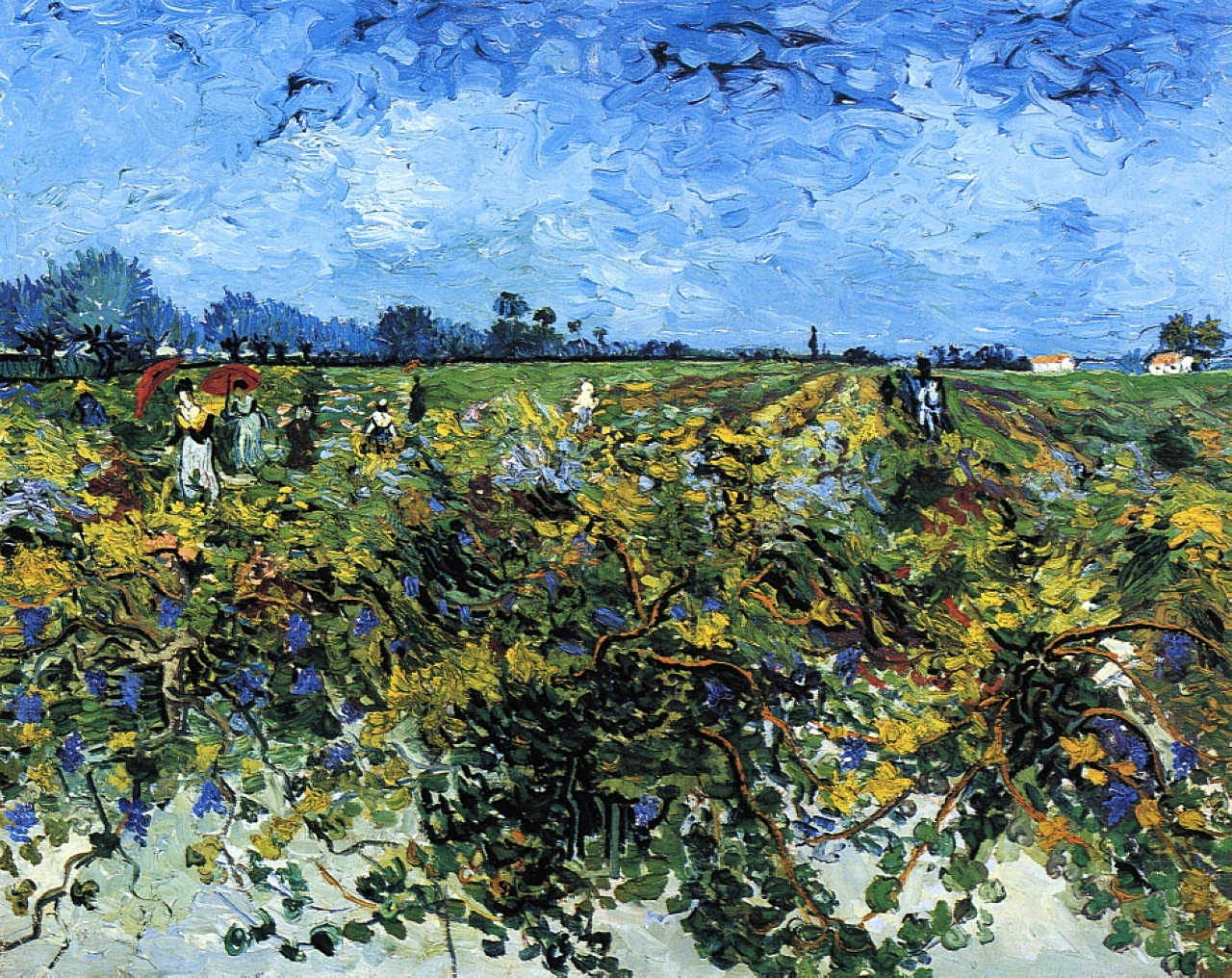The Green Vinyard (1888) Vincent van Gogh tablo - Dekolata