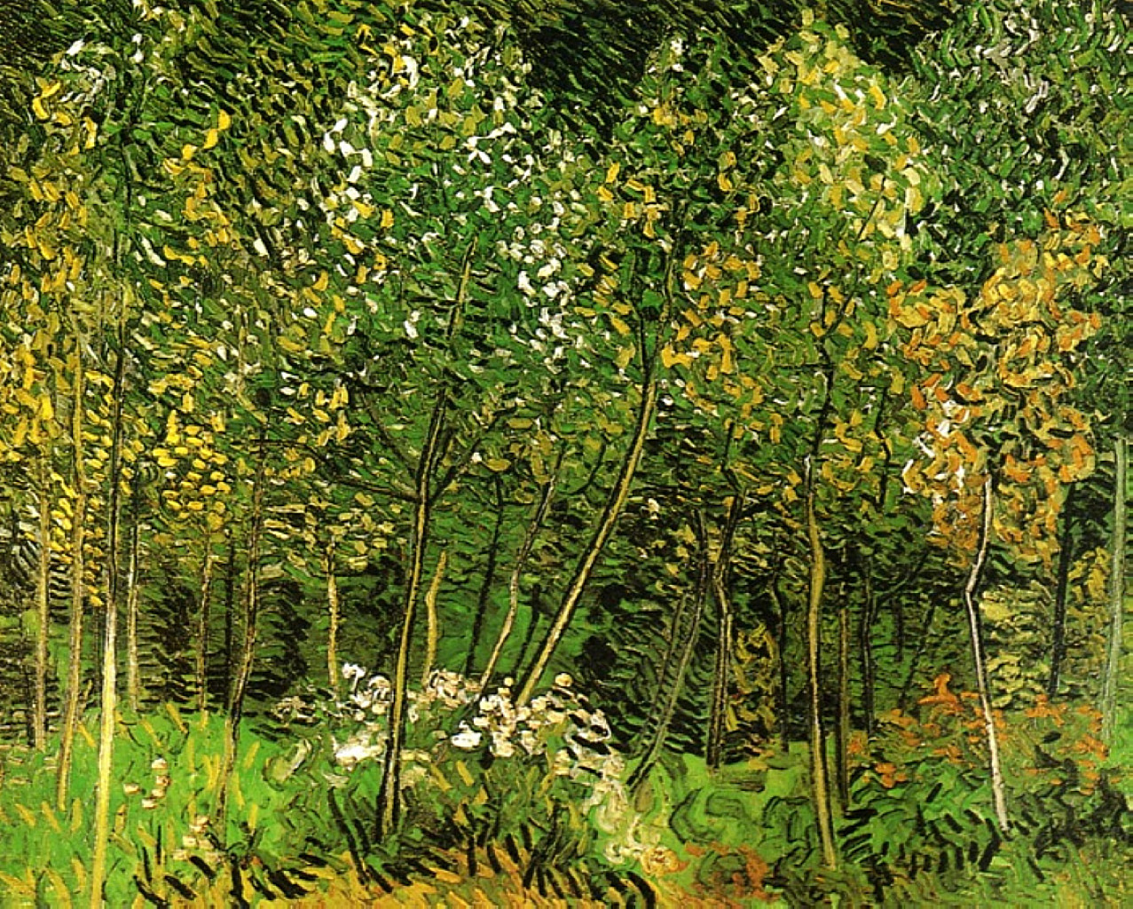 The Grove (1890) Vincent van Gogh tablo - Dekolata