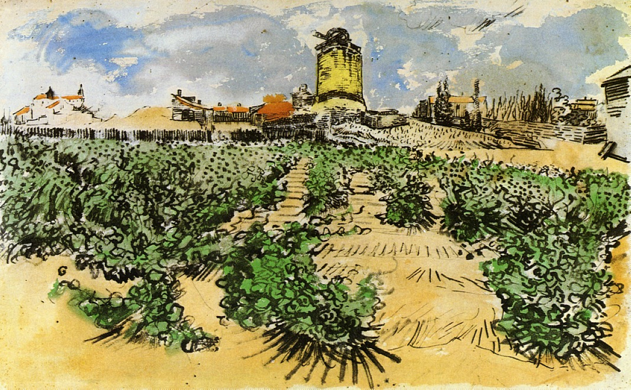 The Mill of Alphonse Daudet at Fontevieille (1888) Vincent van Gogh tablo - Dekolata