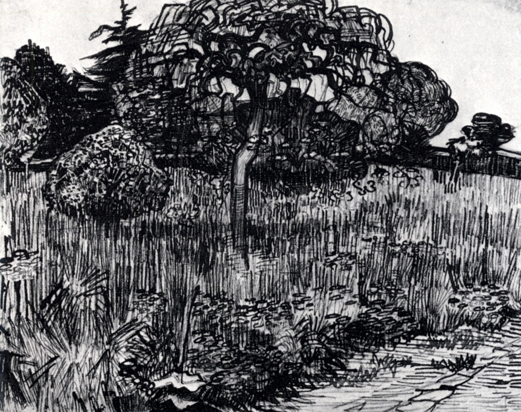 The Park at Arles (1889) Vincent van Gogh tablo - Dekolata