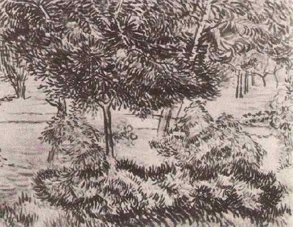 Trees and Shrubs (1889) Vincent van Gogh tablo - Dekolata