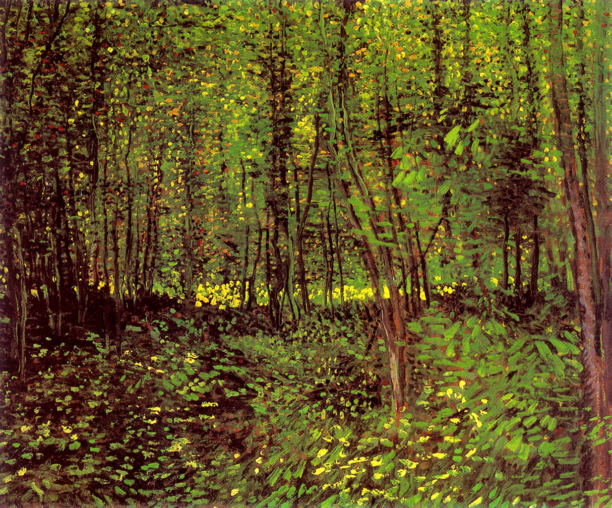 Trees and Undergrowth (1887) Vincent van Gogh tablo - Dekolata
