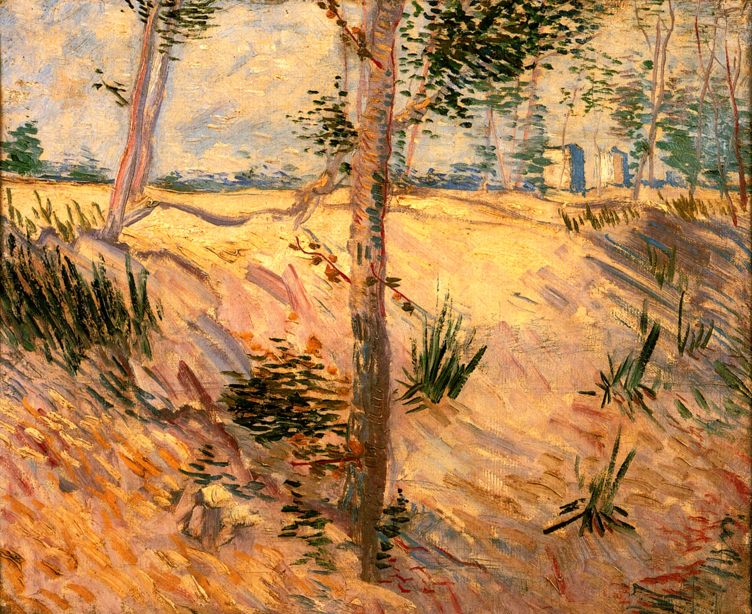 Trees in a Field on a Sunny Day (1887) Vincent van Gogh tablo - Dekolata