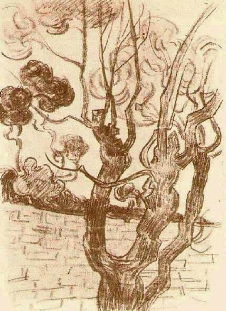 Treetop Seen against the Wall of the Asylum (1889) Vincent van Gogh tablo - Dekolata