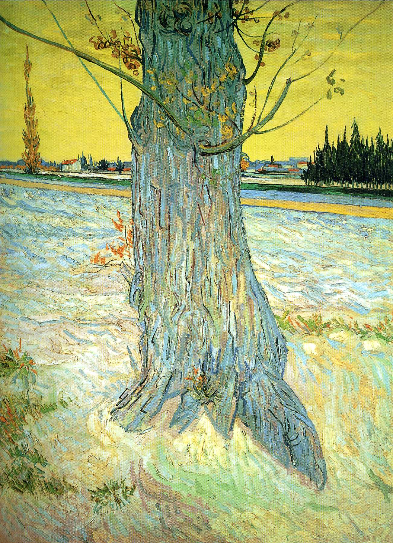 Trunk of an Old Yew Tree (1888) Vincent van Gogh tablo - Dekolata