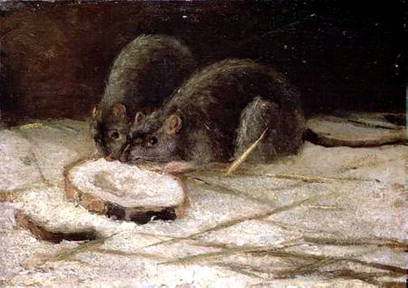 Two Rats (1884) Vincent van Gogh tablo - Dekolata