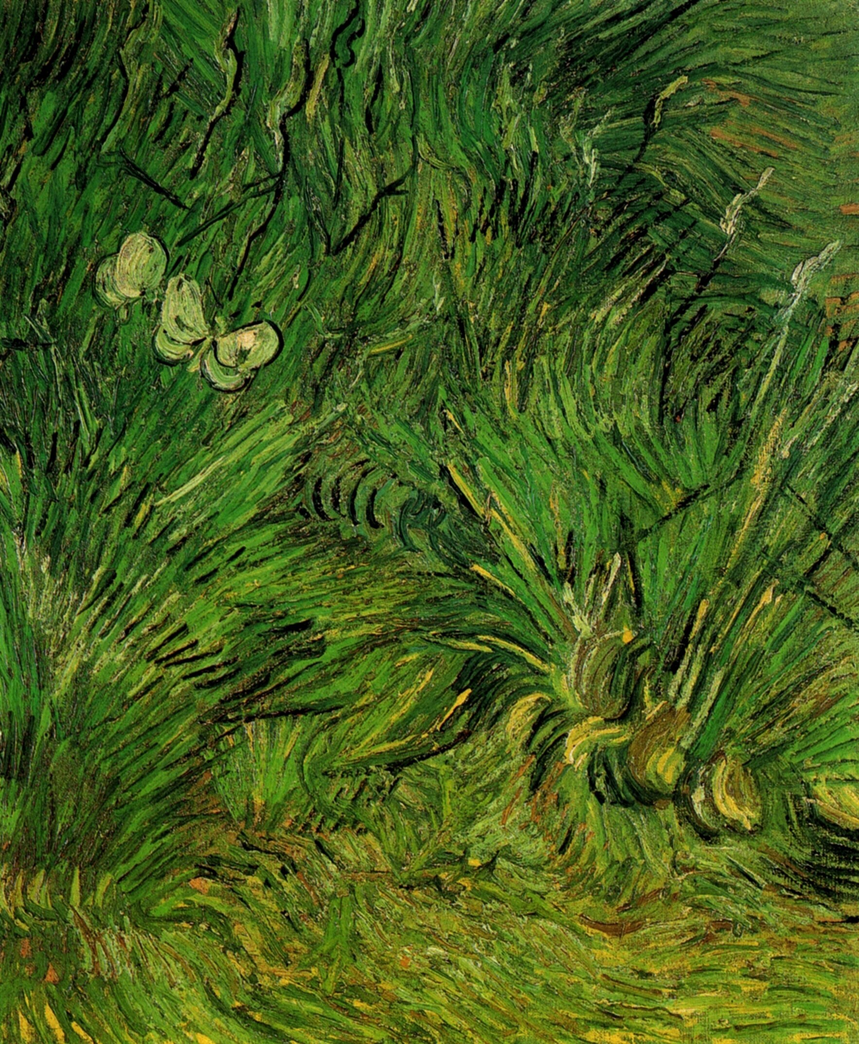 Two White Butterflies (1889) – Vincent van Gogh Tablo