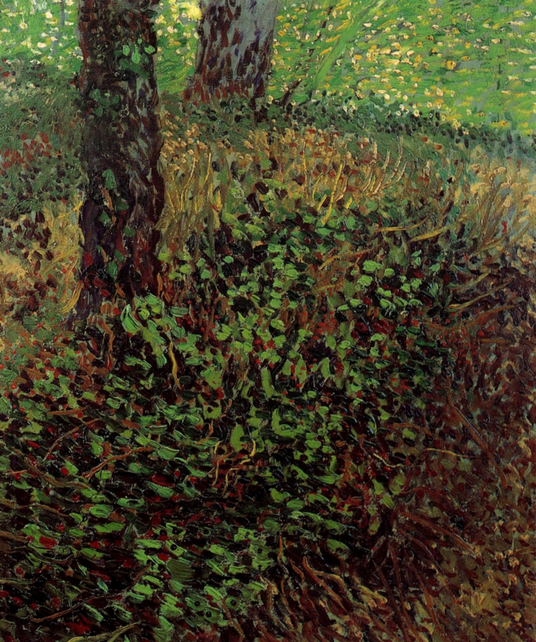 Undergrowth (1887) Vincent van Gogh tablo - Dekolata
