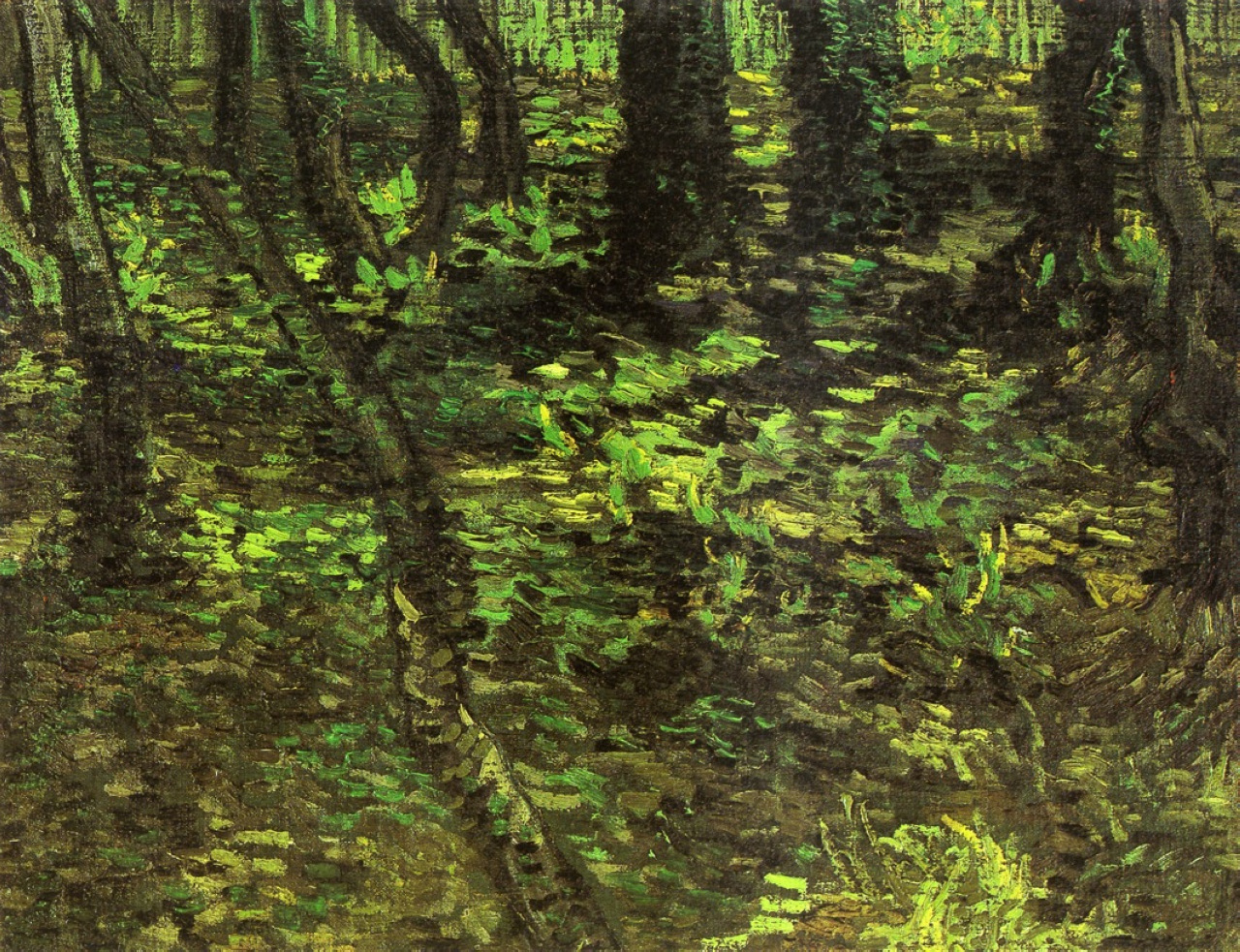 Undergrowth with Ivy (1889) Vincent van Gogh tablo - Dekolata