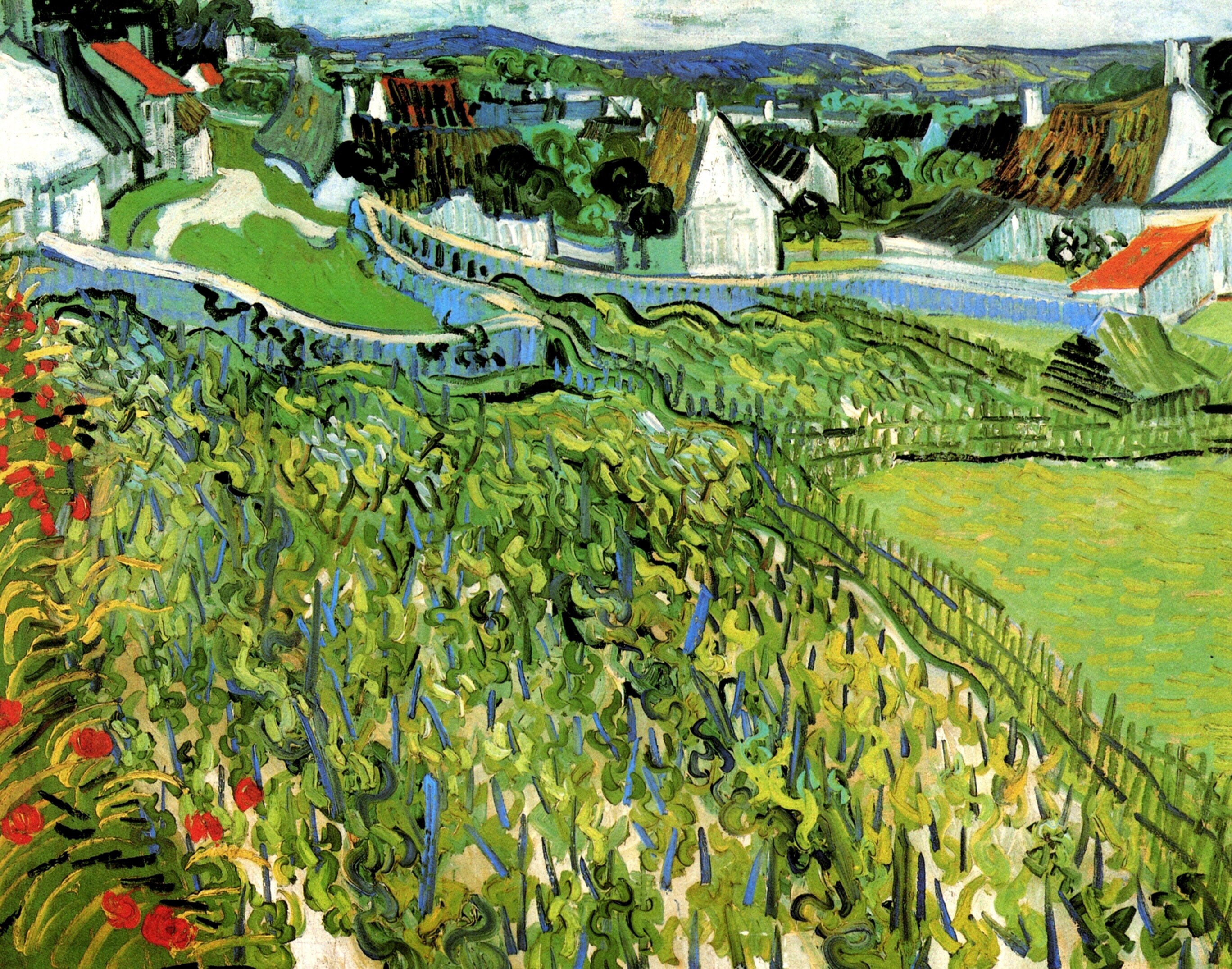 Vineyards with a View of Auvers (1890) Vincent van Gogh tablo - Dekolata