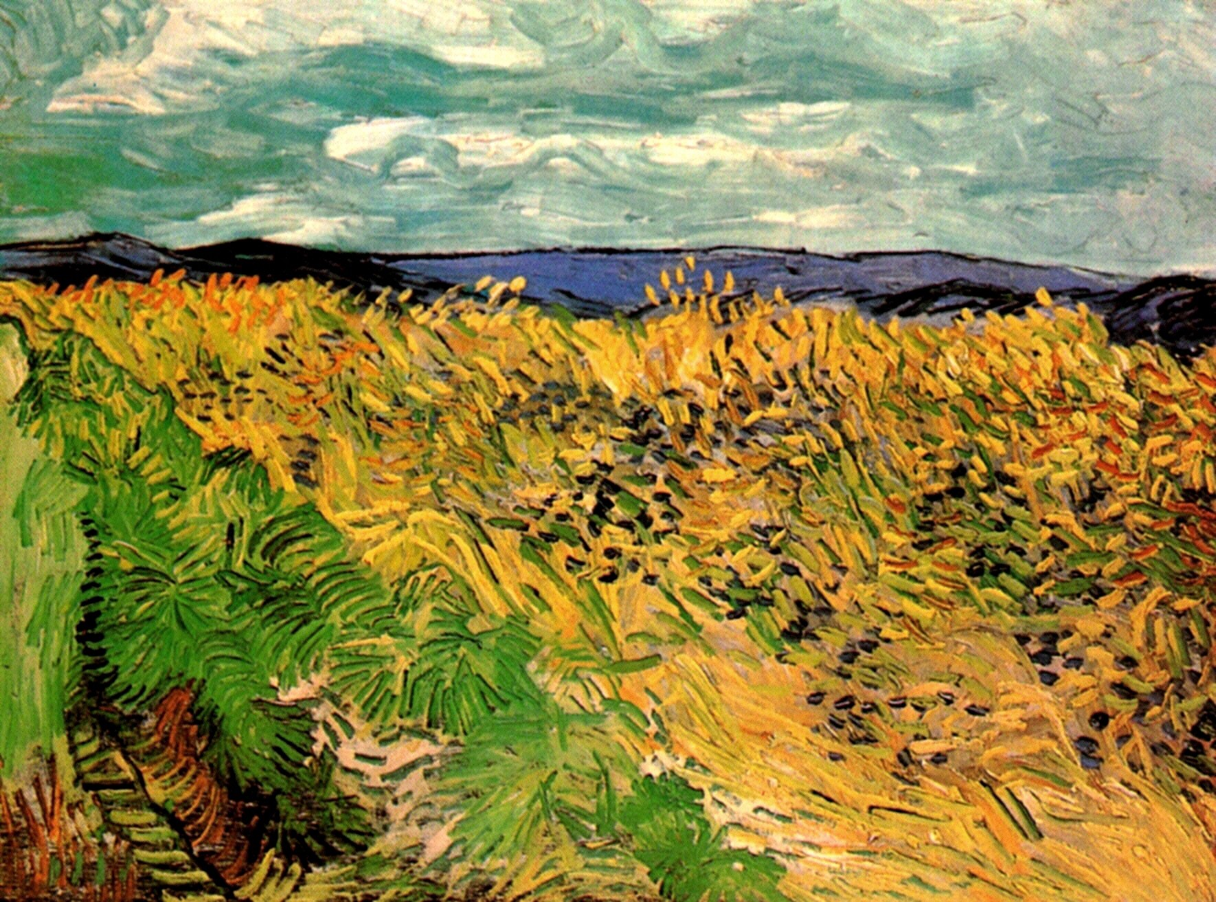 Wheat Field with Cornflowers (1890) Vincent van Gogh tablo - Dekolata