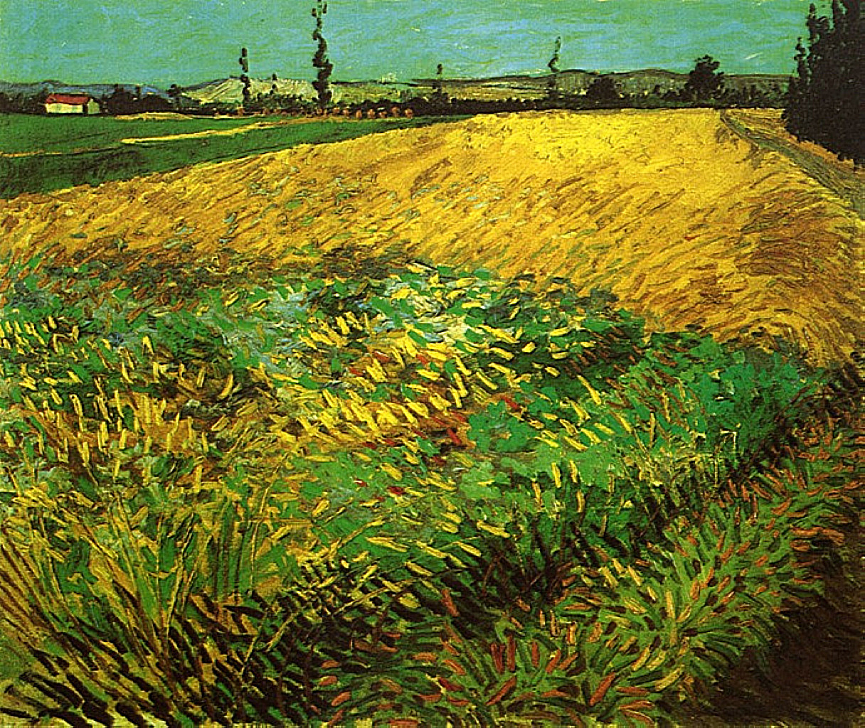 Wheat Field with the Alpilles Foothills in the Background (1888) – Vincent van Gogh Tablo
