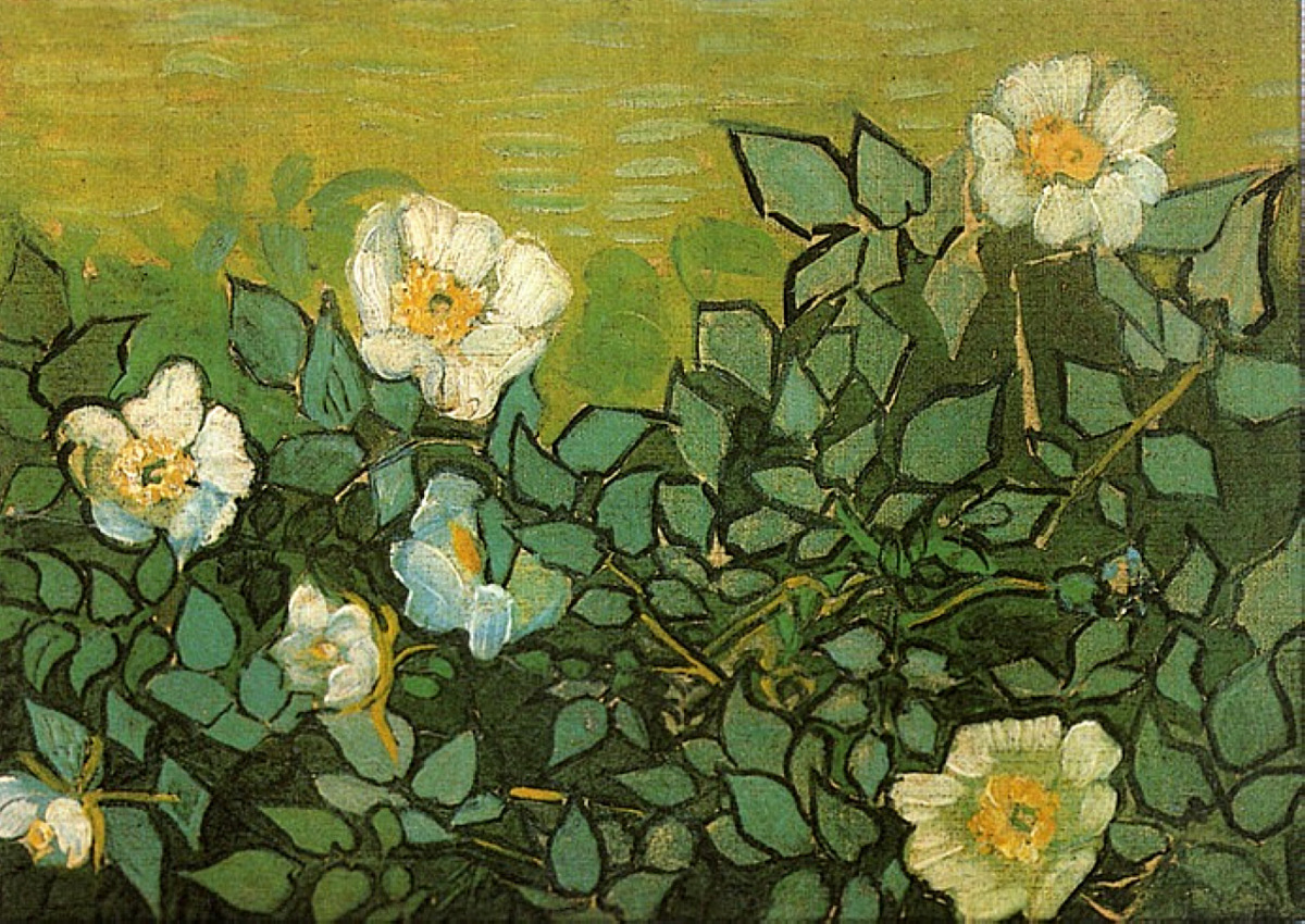 Wild Roses (1890) Vincent van Gogh tablo - Dekolata