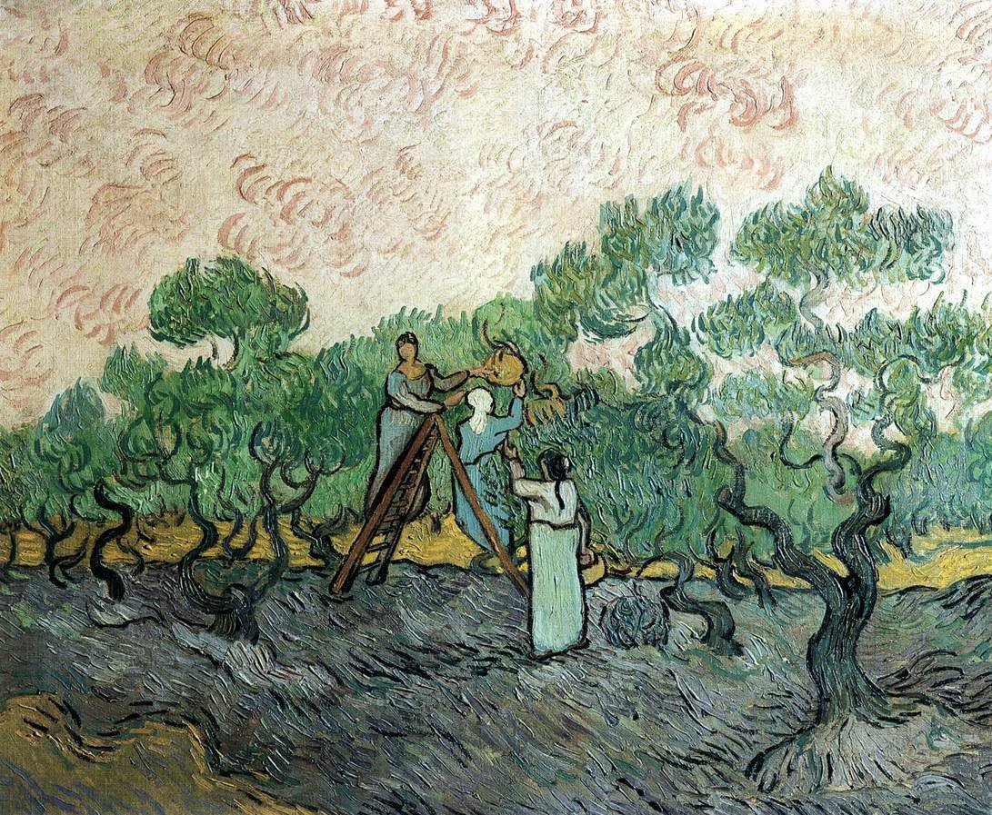 Women Picking Olives (1889) Vincent van Gogh tablo - Dekolata
