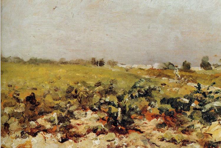 C leyran View of the Vignards (1880) Henri de Toulouse-Lautrec tablo - Dekolata