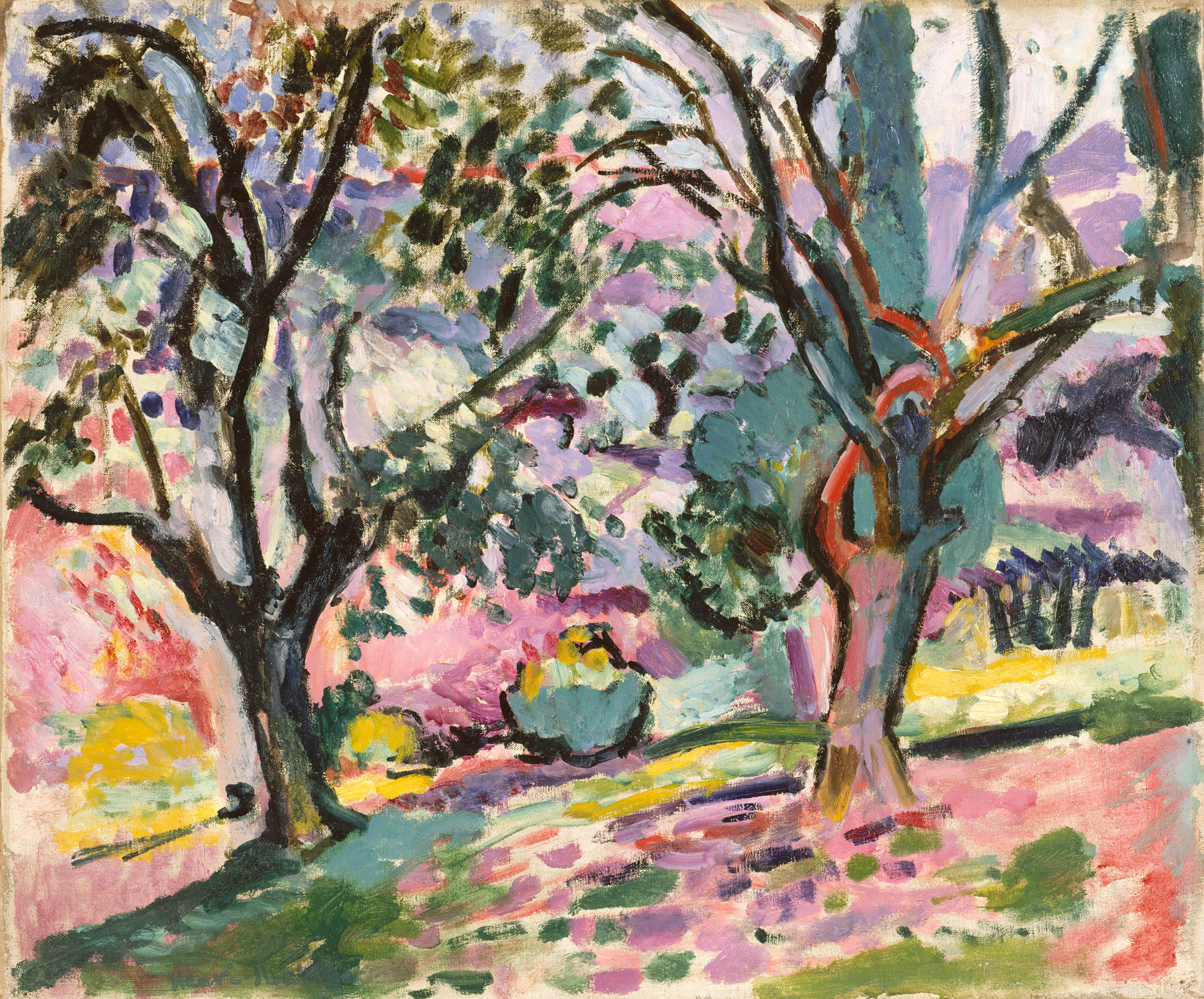 Olive Trees at Collioure (1906) Henri Matisse tablo - Dekolata